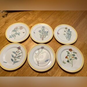 Williams Sonoma salad plates